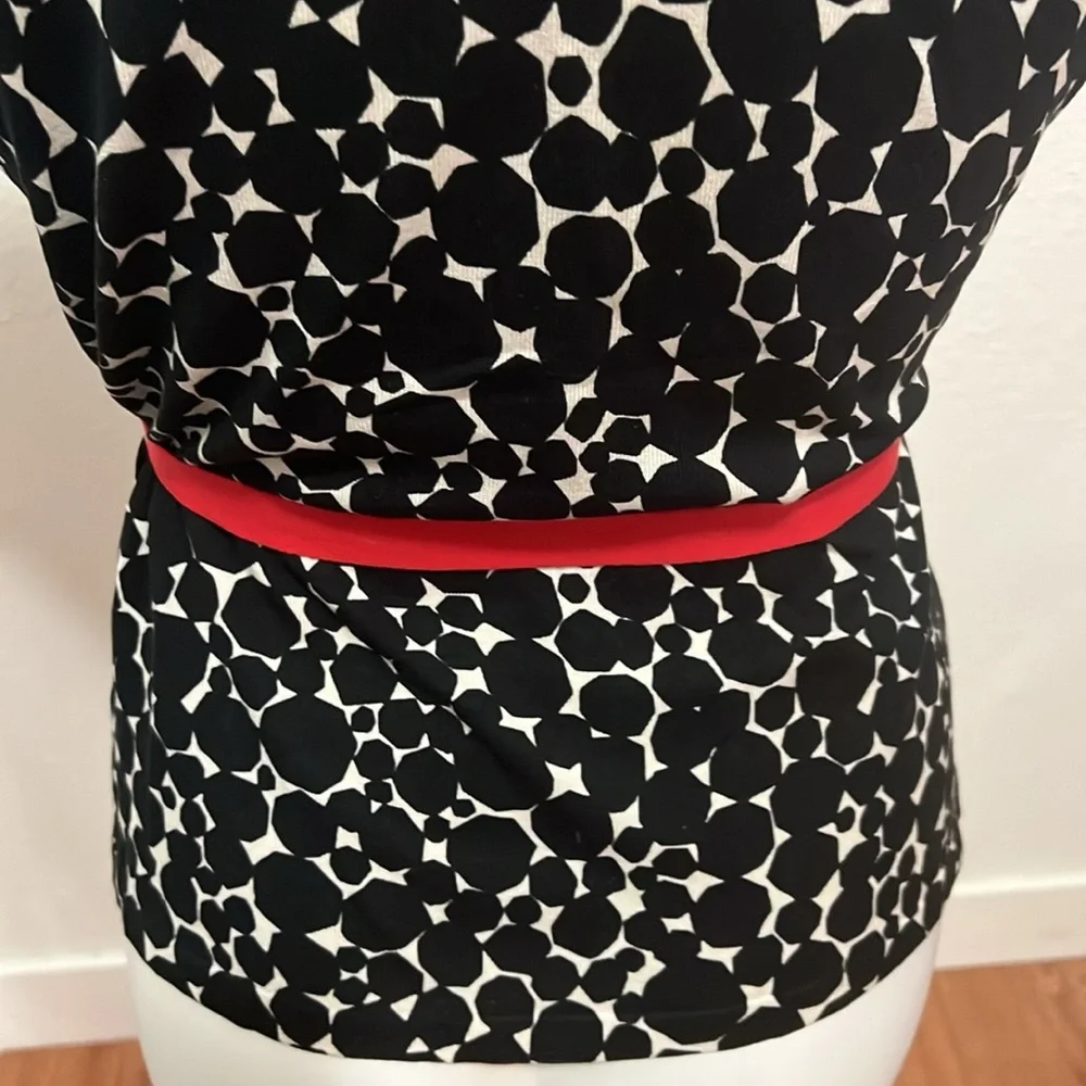 Alfani Silk Petite Shirt Sz P/S